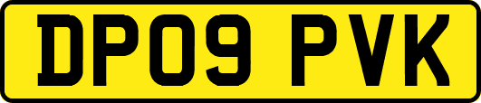 DP09PVK