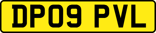 DP09PVL