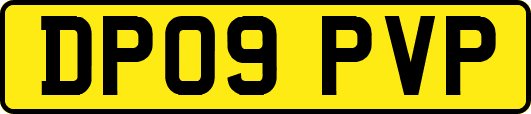 DP09PVP