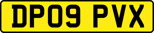 DP09PVX