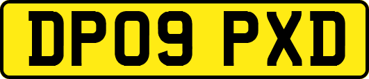 DP09PXD