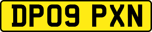 DP09PXN