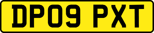 DP09PXT