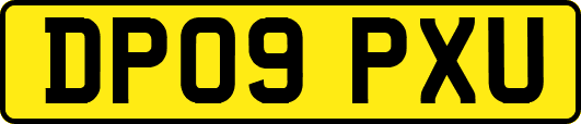 DP09PXU