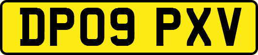 DP09PXV