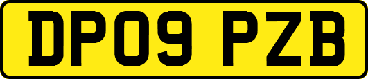DP09PZB