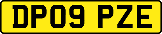 DP09PZE