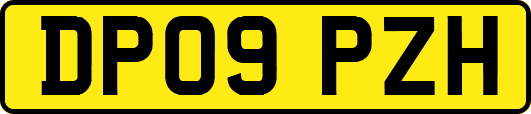 DP09PZH