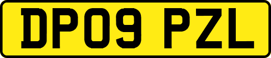 DP09PZL