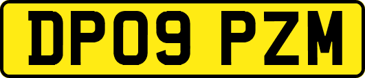 DP09PZM