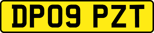 DP09PZT