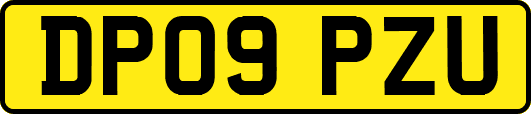 DP09PZU