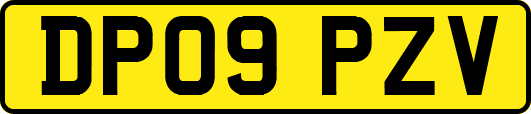 DP09PZV