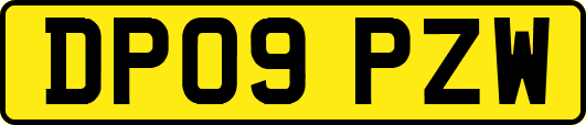 DP09PZW
