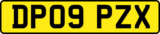 DP09PZX
