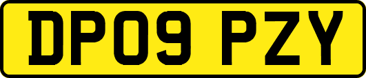 DP09PZY