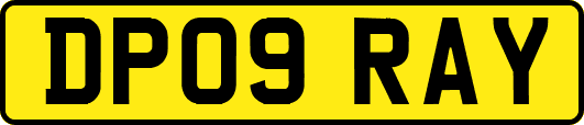 DP09RAY