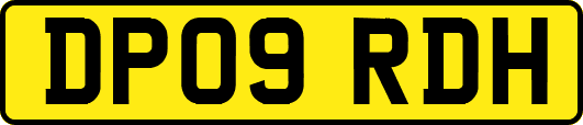 DP09RDH