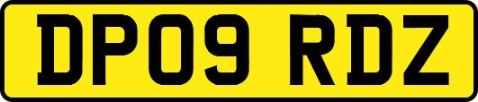 DP09RDZ