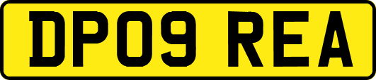 DP09REA