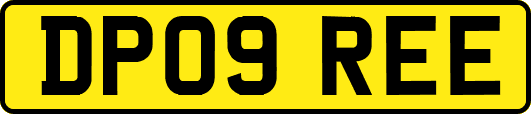 DP09REE