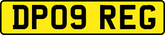DP09REG