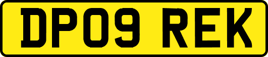 DP09REK