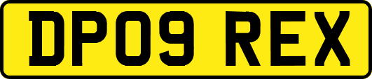 DP09REX
