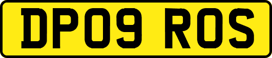 DP09ROS