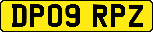 DP09RPZ