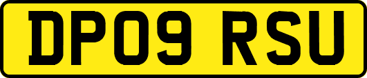 DP09RSU