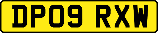 DP09RXW