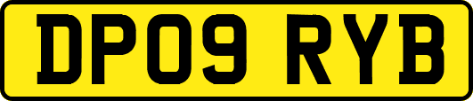 DP09RYB