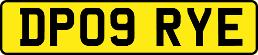 DP09RYE