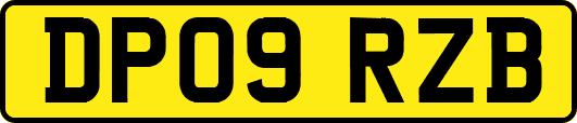 DP09RZB