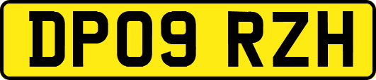 DP09RZH