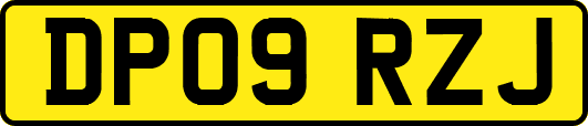 DP09RZJ