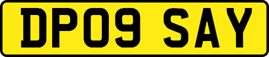 DP09SAY