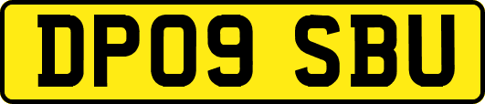 DP09SBU