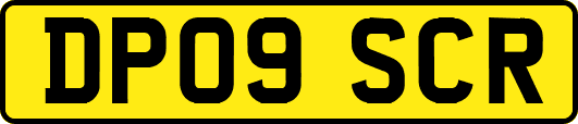 DP09SCR