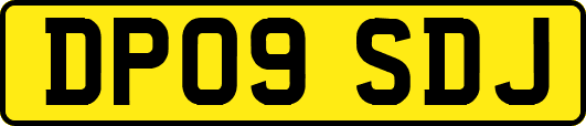 DP09SDJ