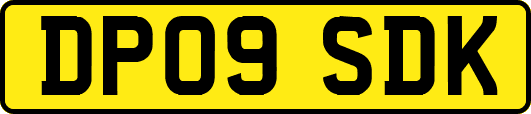 DP09SDK