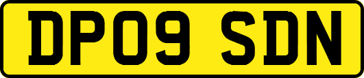 DP09SDN