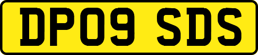 DP09SDS
