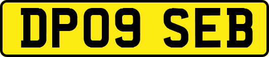 DP09SEB