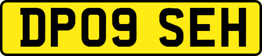 DP09SEH