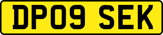 DP09SEK
