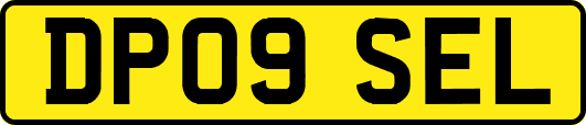 DP09SEL