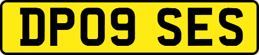 DP09SES