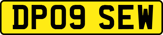 DP09SEW